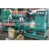 珠海江門(mén)100kw廣西玉柴柴油發(fā)電機(jī)組發(fā)電機(jī) 出租 維修