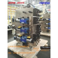 山東泰豐廠家直供機(jī)械配件二通插裝閥1