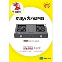 雙爐家用燃?xì)庠顝N房家居電器燃?xì)庠钛鎸④妼Ｗ⒋蠡鹆?/></a>
<div><a href=