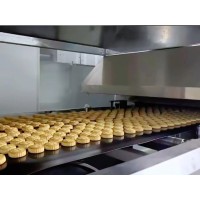 食品全自動烘焙生產(chǎn)線